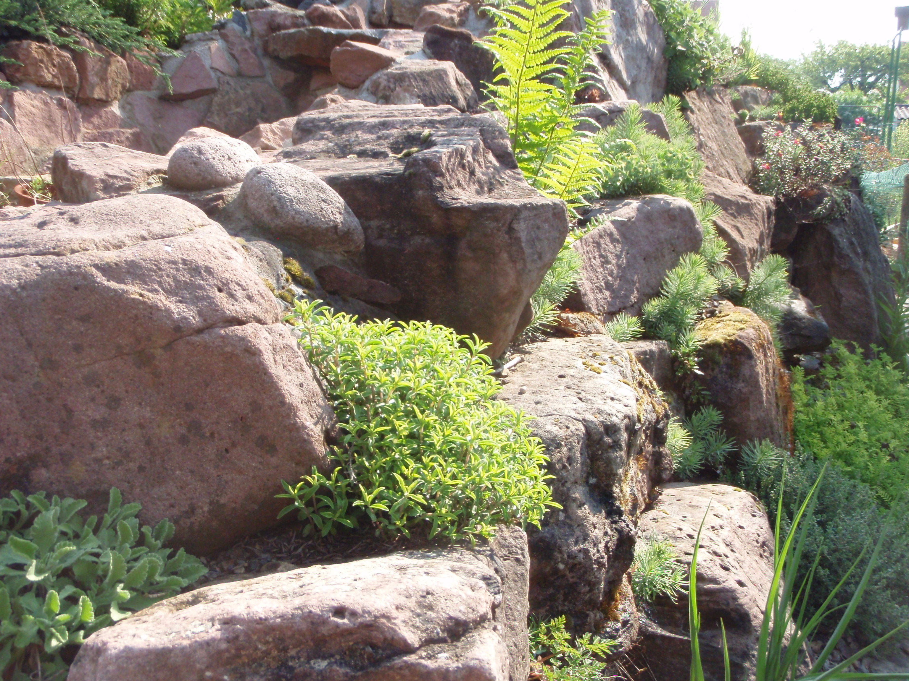 Bild eines Natursteingartens