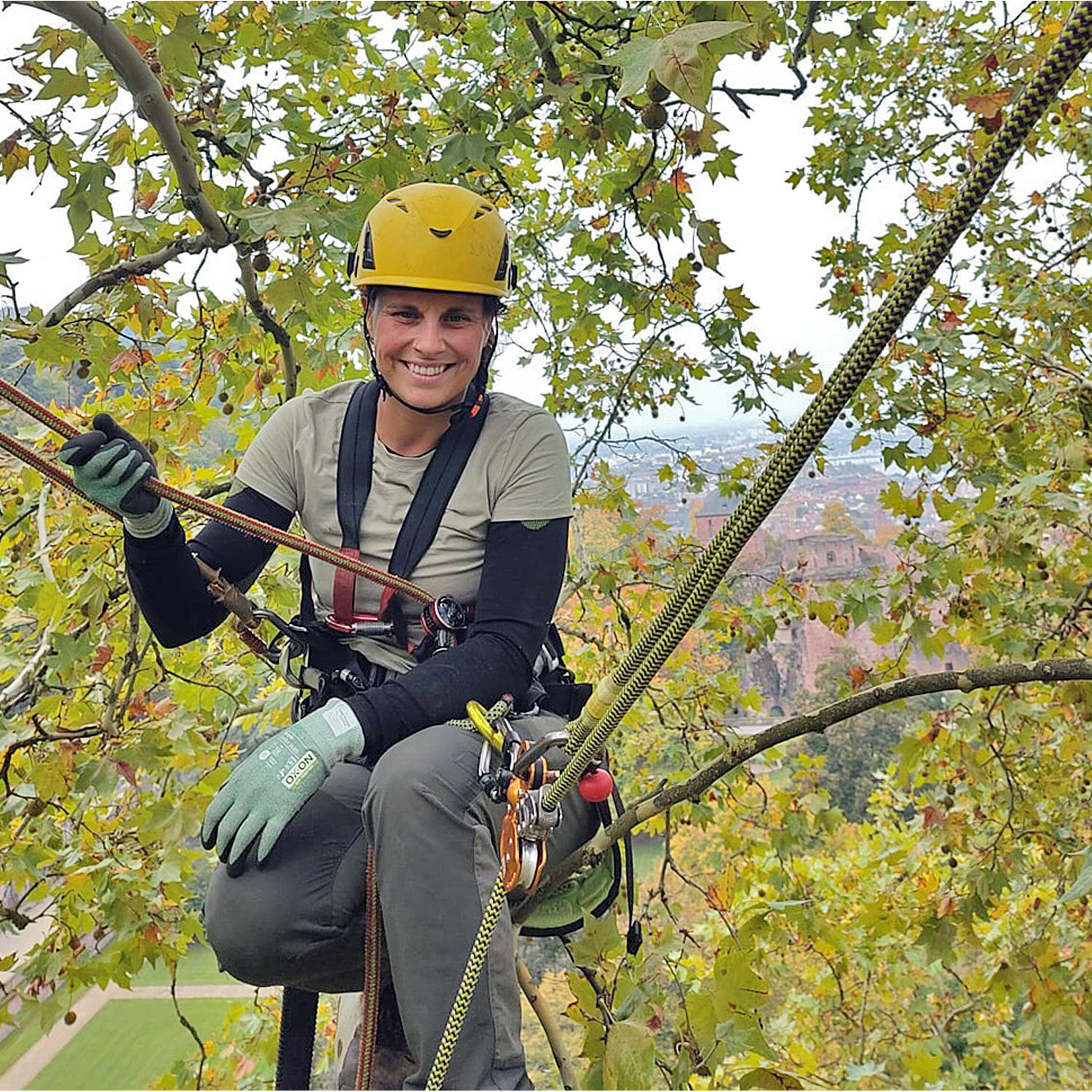 Frau auf einem Baum mit Sicherheitshelm